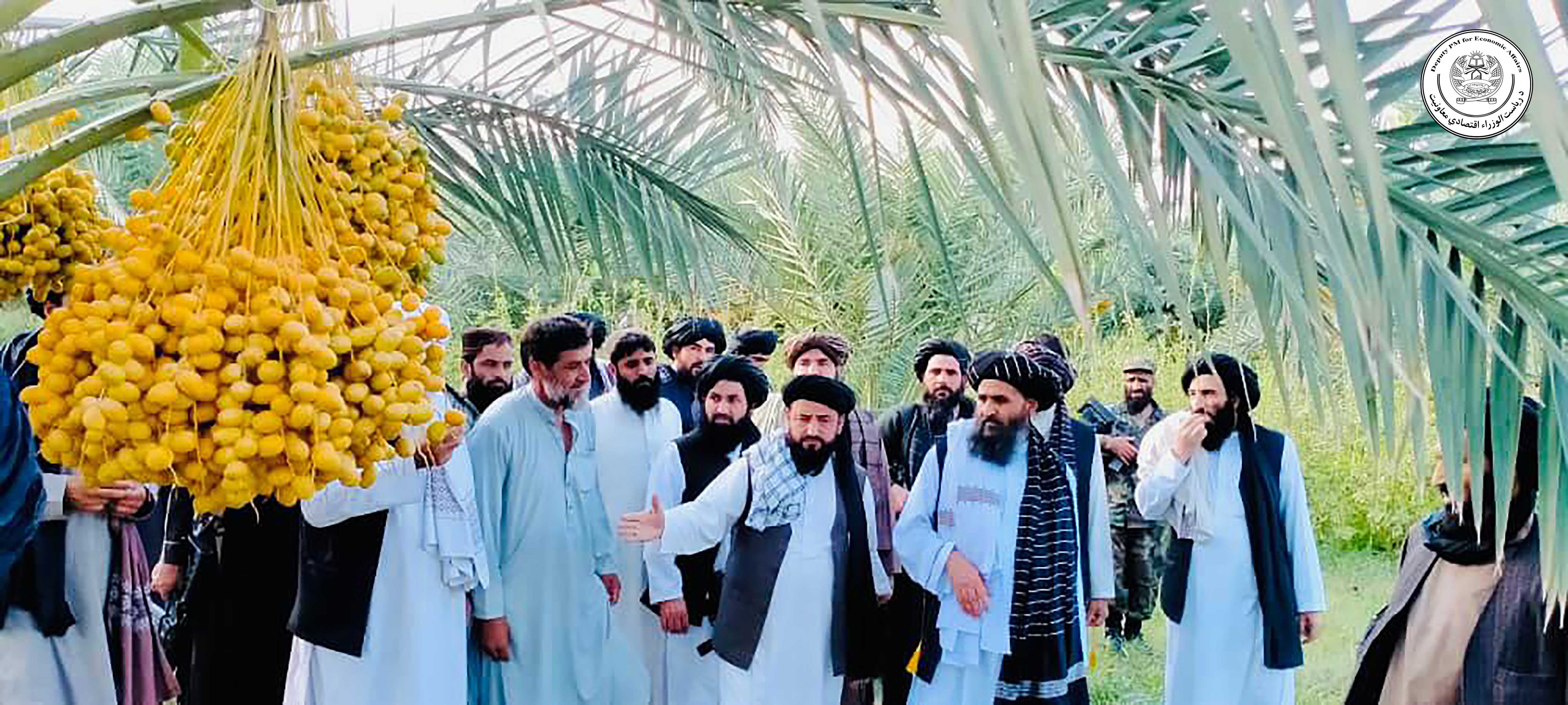 Hajji Mullah Abdul Ghani Beradar Akhund visited the Nangarhar Canal project