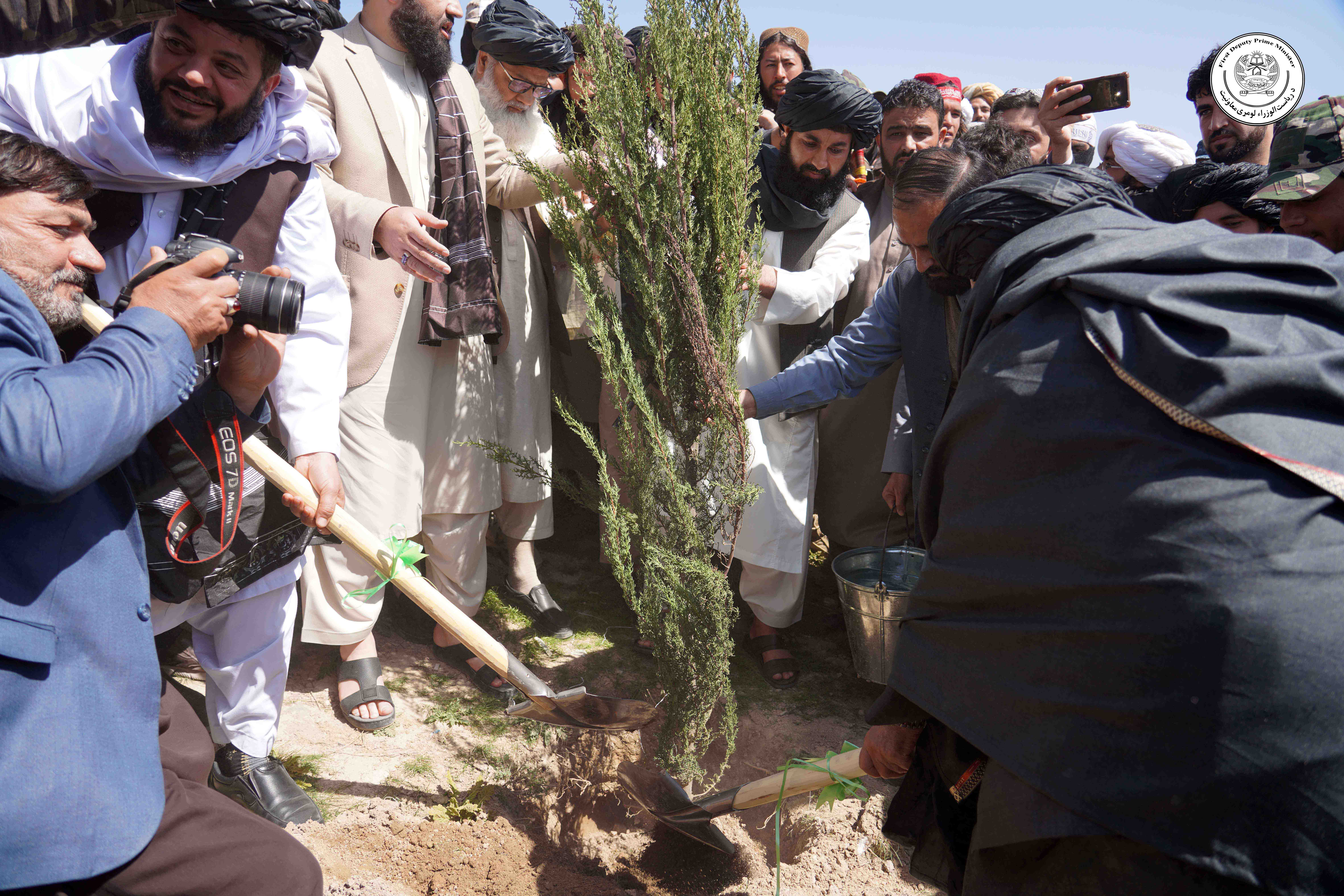 Participation of the First Deputy PM in the National Tree Planting Campaign 