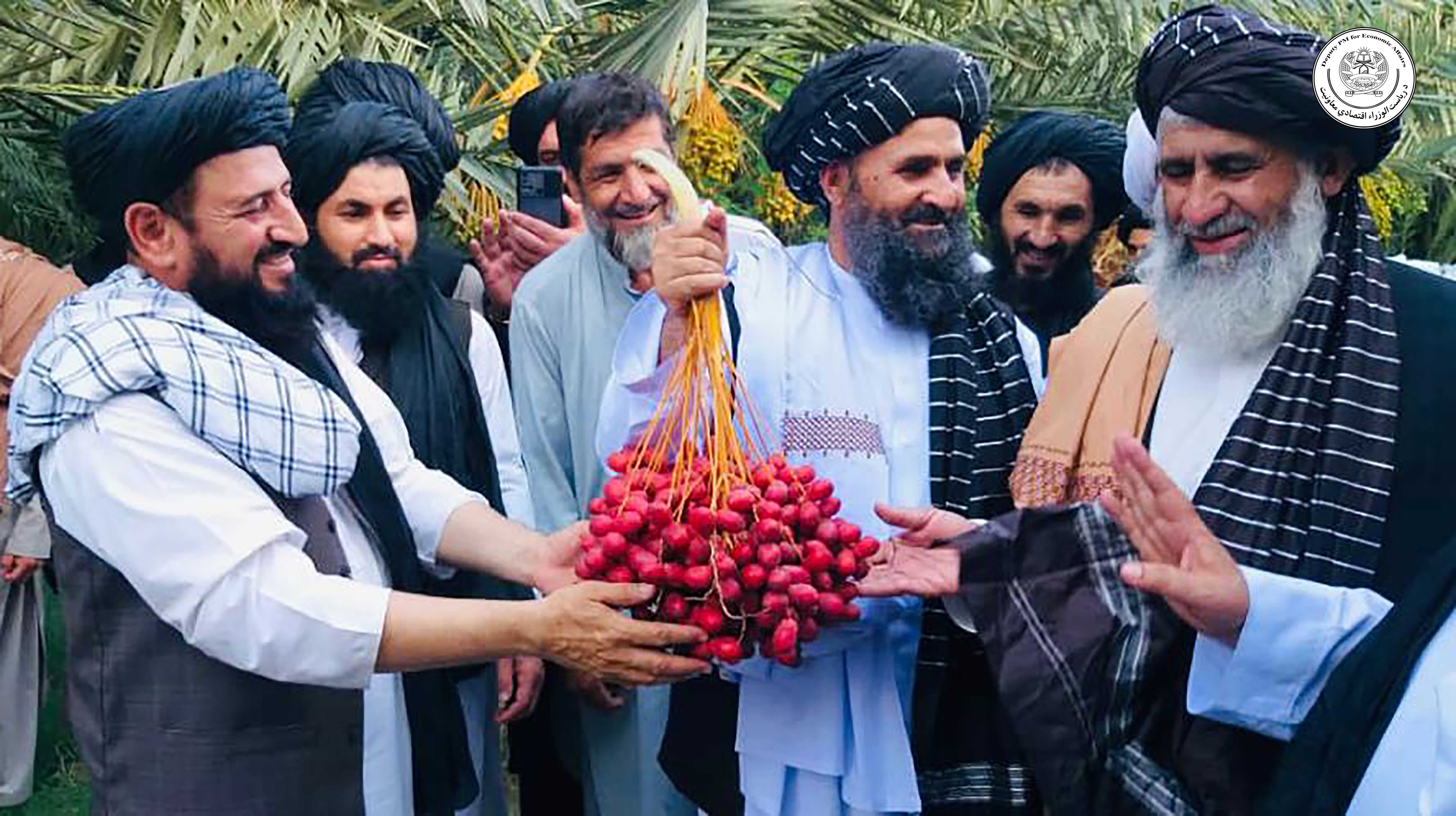Hajji Mullah Abdul Ghani Beradar Akhund visited the Nangarhar Canal project