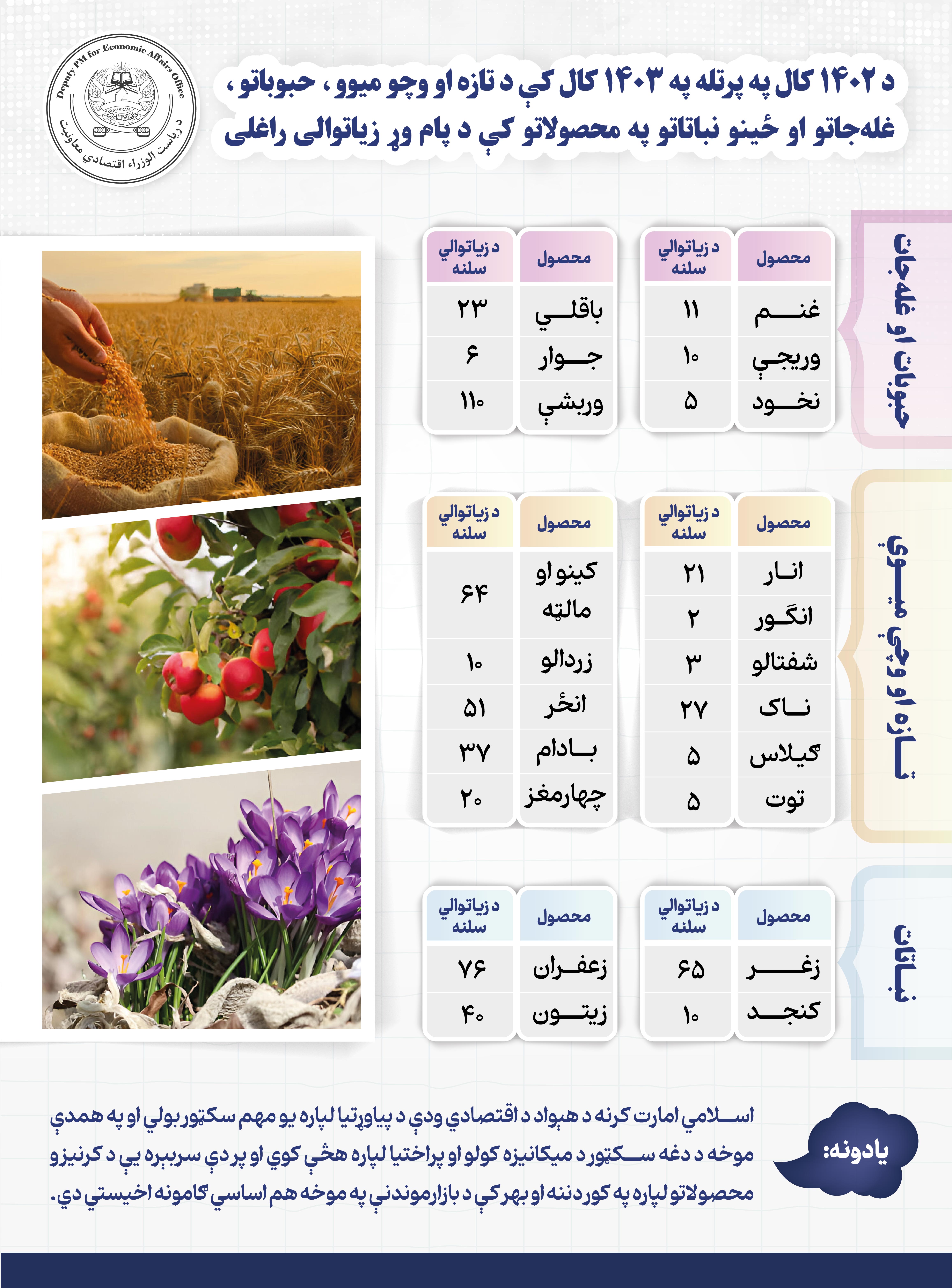 Infographic